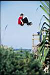 sk8jump6.jpg