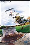 sk8jump7.jpg